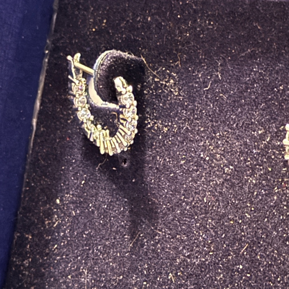 Elegant Gold and Silver Hoop Earrings